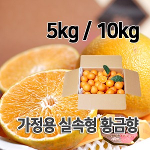 ★가정용 황금향 5kg/10kg★